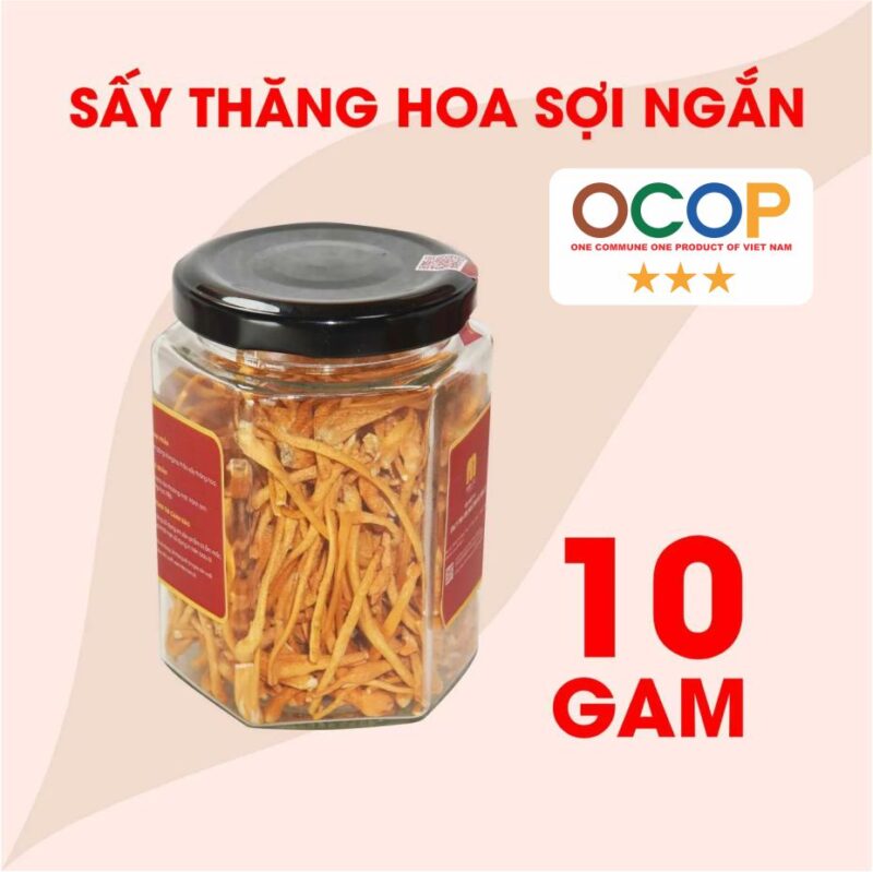 Đông trùng hạ thảo Sấy thăng hoa 10g (gãy)